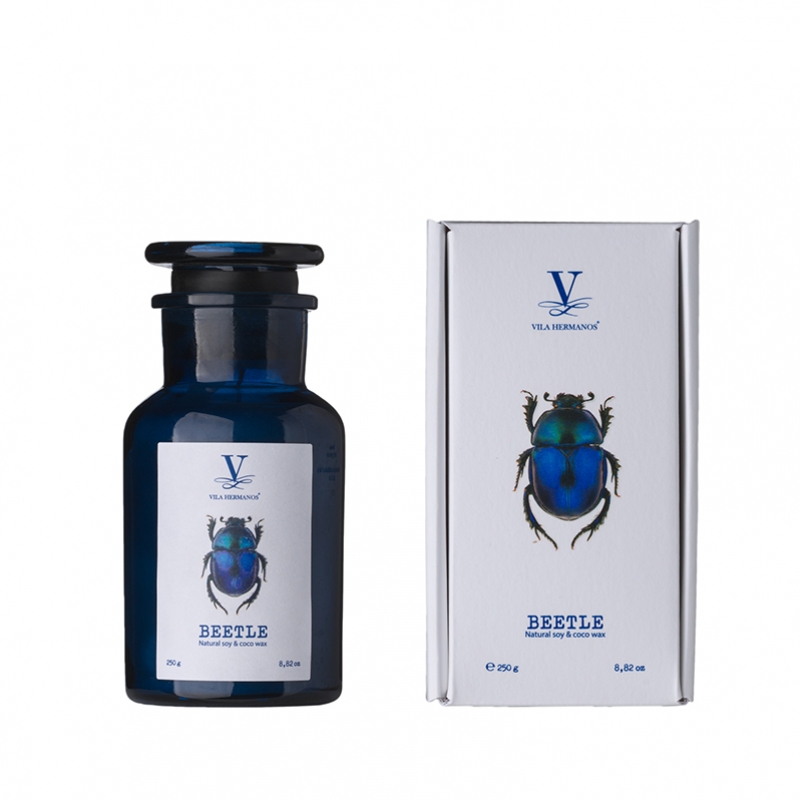 Vela Beetle